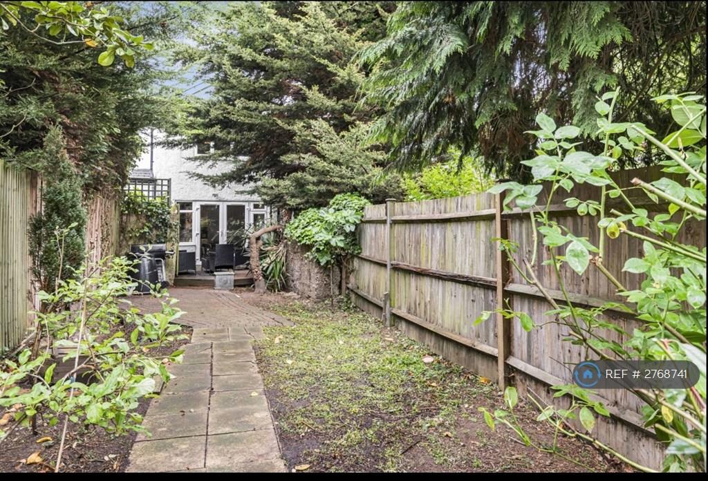 Back Garden