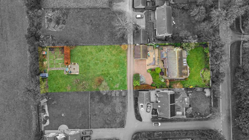 Arteal View Of Plot