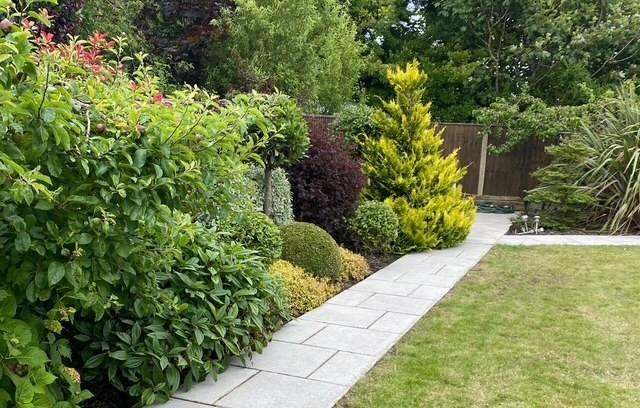 Garden view, garden