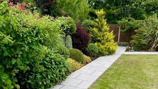 Garden view, garden