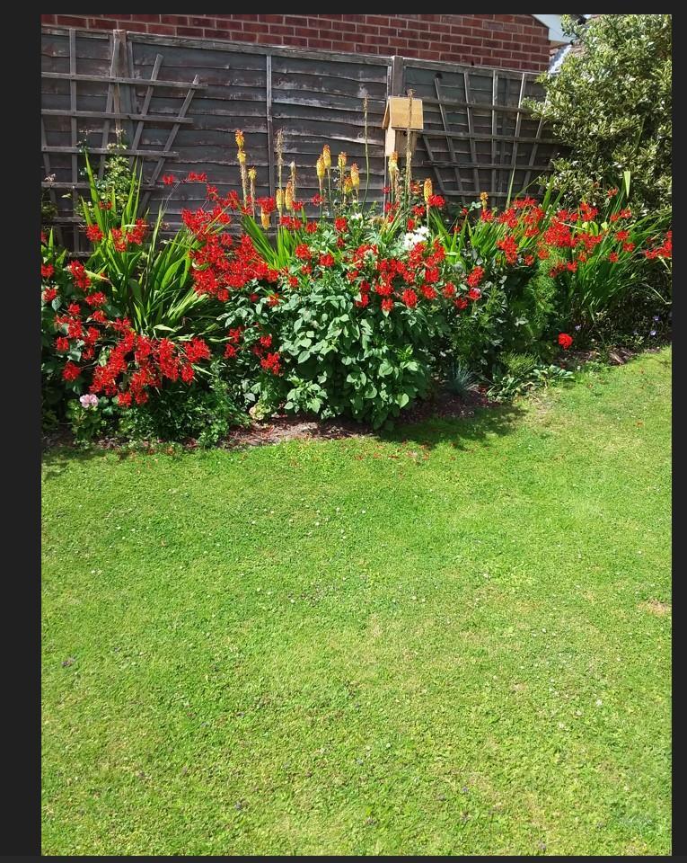 Garden 2.jpg