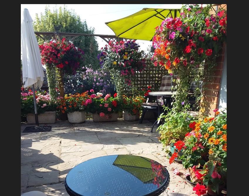 Garden 3.jpg