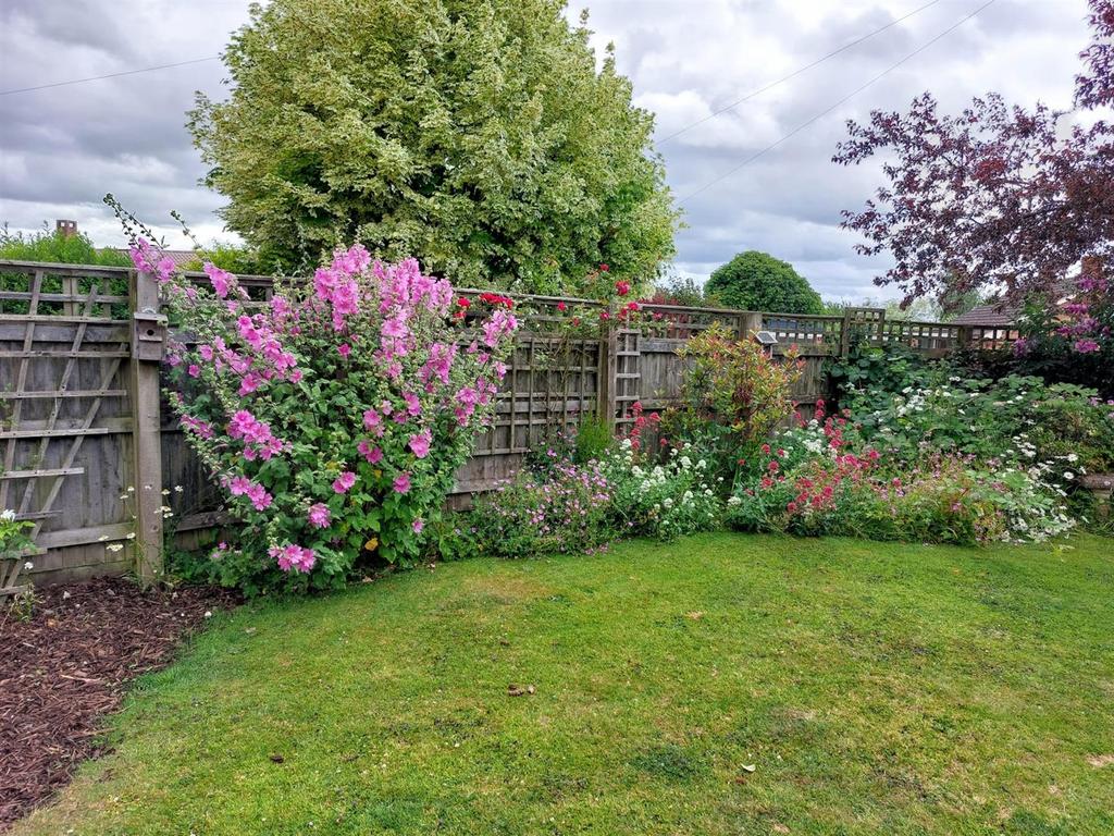 Garden in the summer.jpg