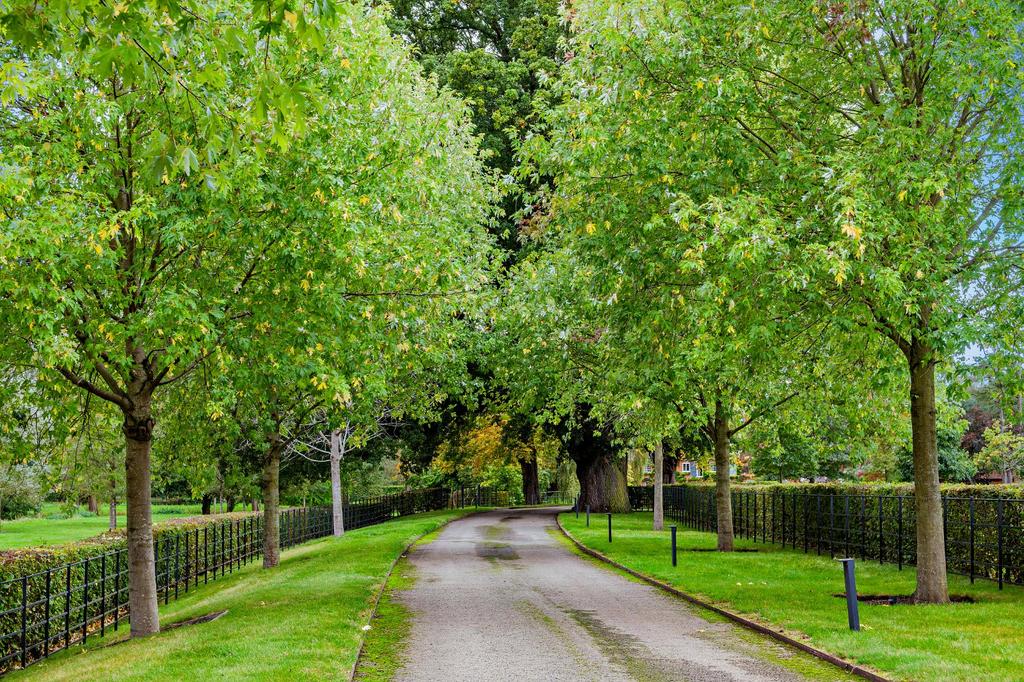 Driveway