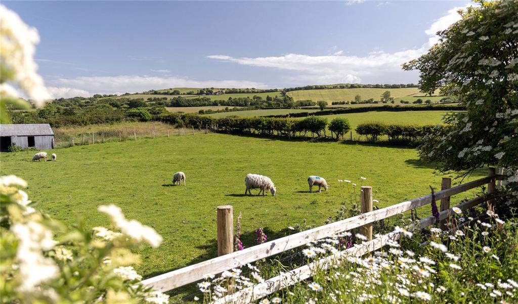 Paddocks