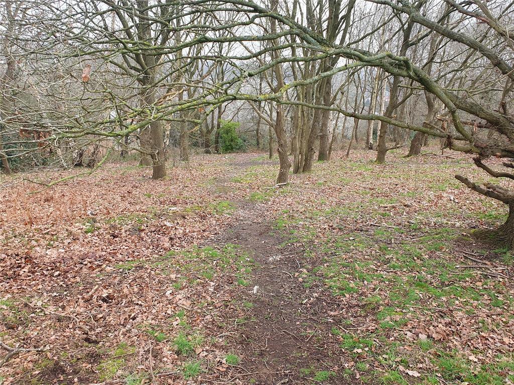 Nature Reserve