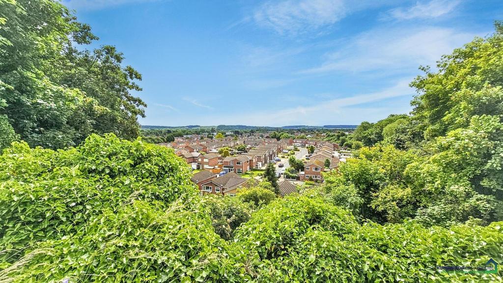 View from rear garden