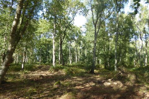 undefined, Pilots Wood, Tranwell, Morpeth, Northumberland NE20