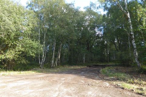 undefined, Pilots Wood, Tranwell, Morpeth, Northumberland NE20