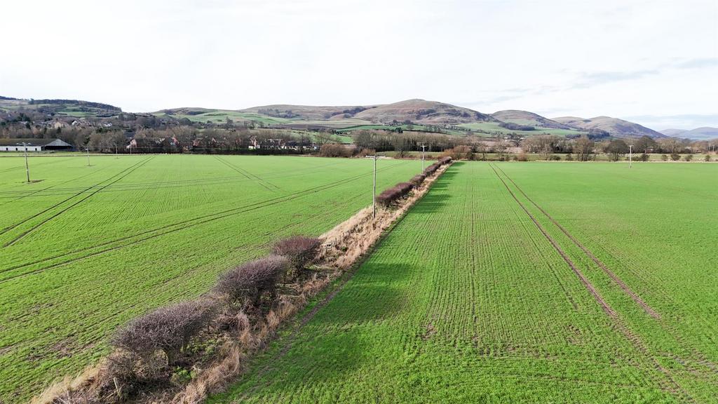 DJI 20260213104135 0159 D.jpg