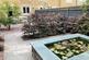 Additional image 29 of St. Andrews Road, Cambridge, Cambridgeshire, CB4