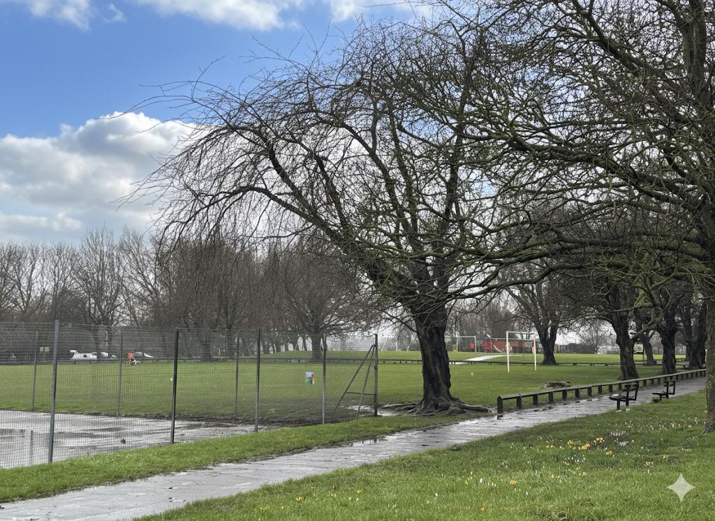Park Views adjacent To The Property: