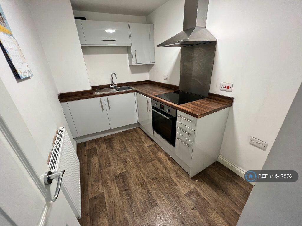 Modern Kitchen