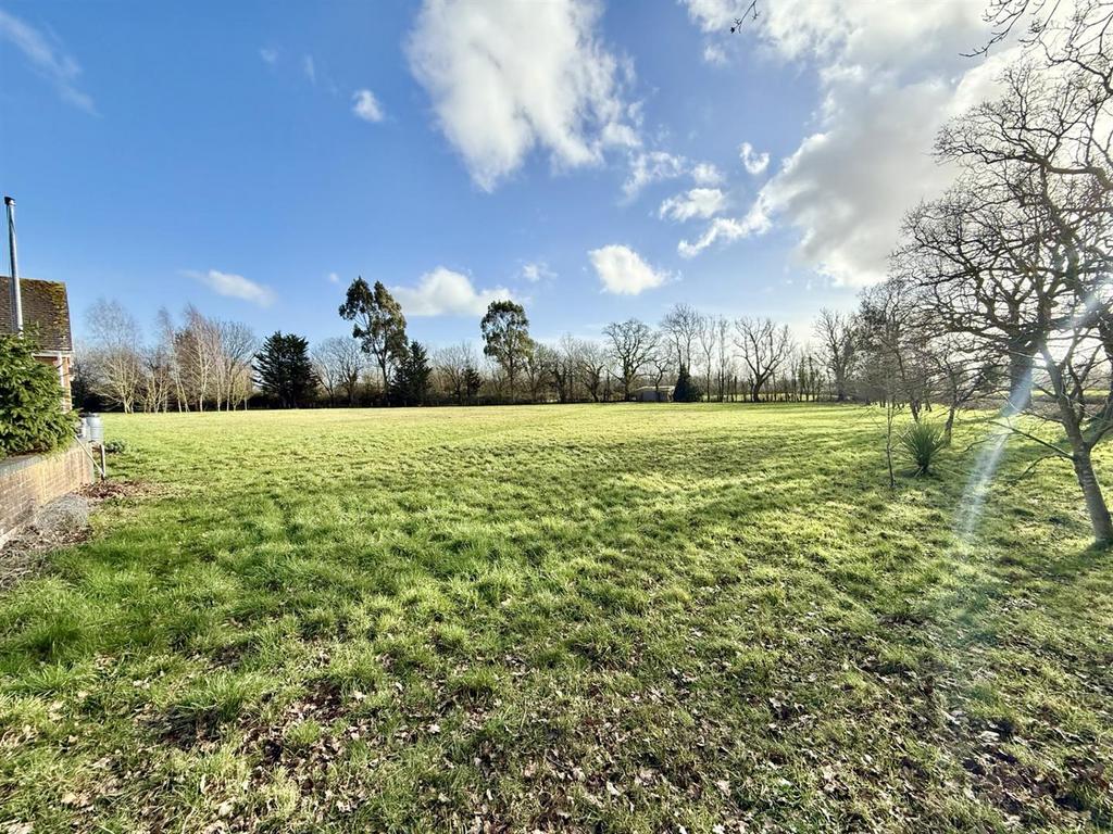 Field View1.jpg
