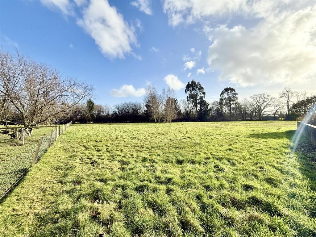 Field View2.jpg