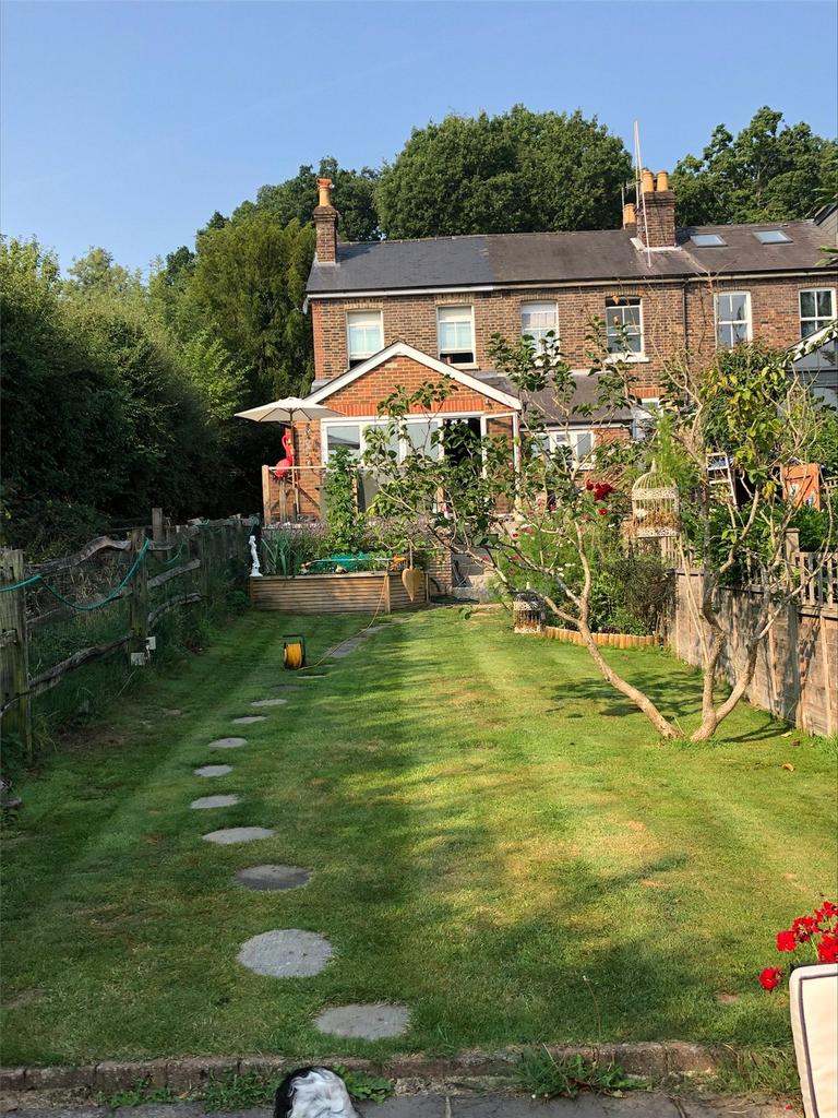Summer Garden