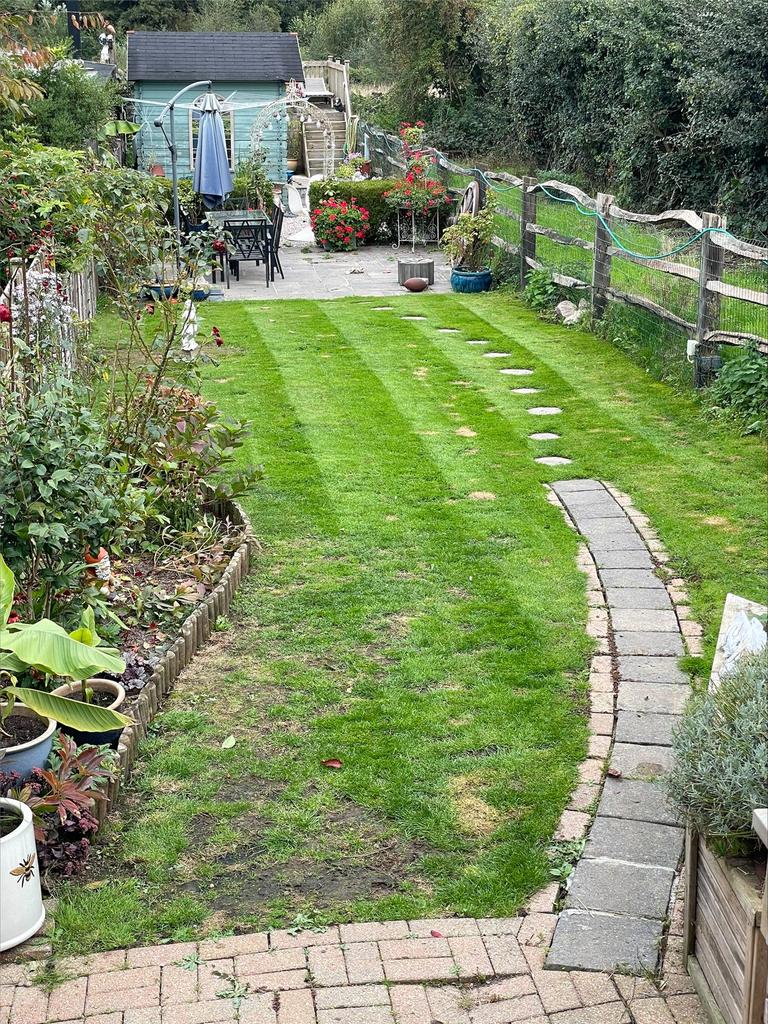 Summer Garden