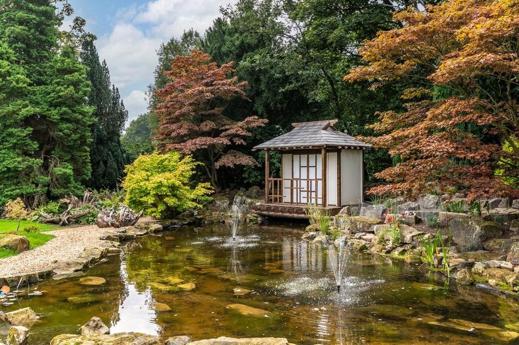 Japenese Garden