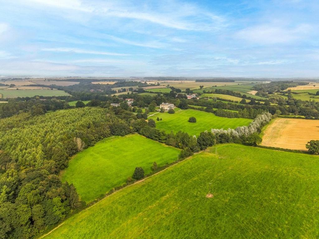 View Of Land