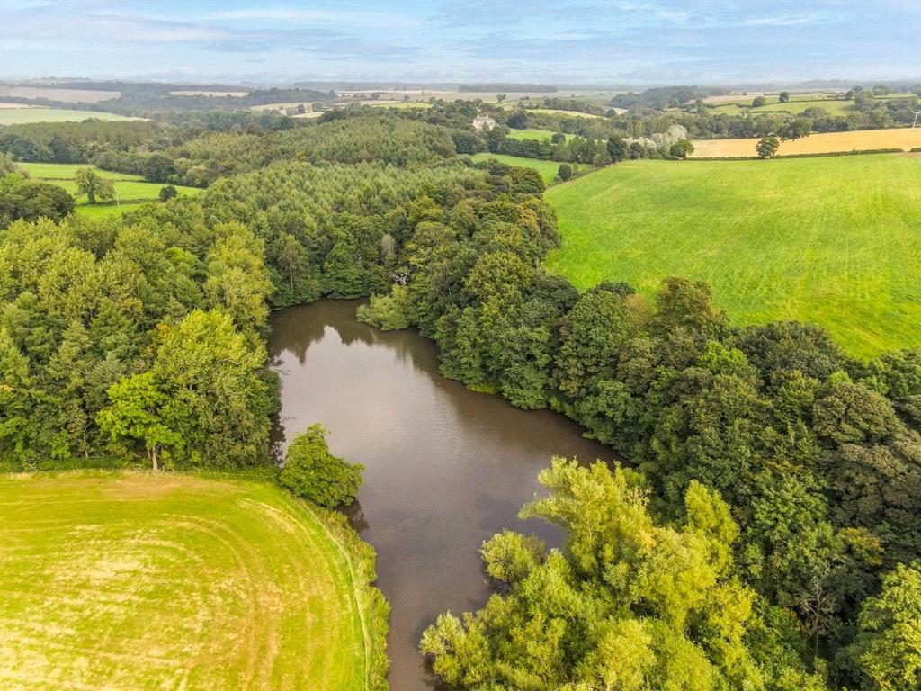 Woodland and Lake