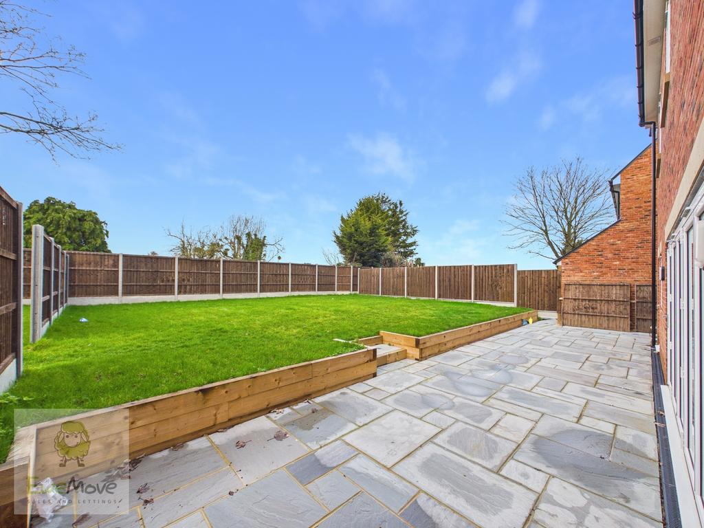 Back garden
