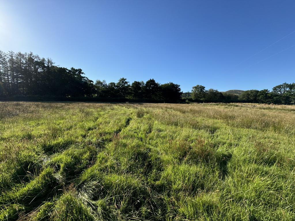 The Land