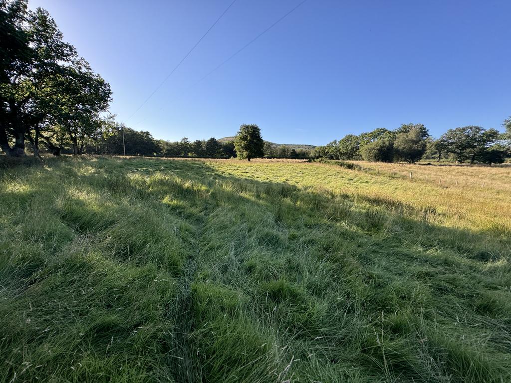The Land