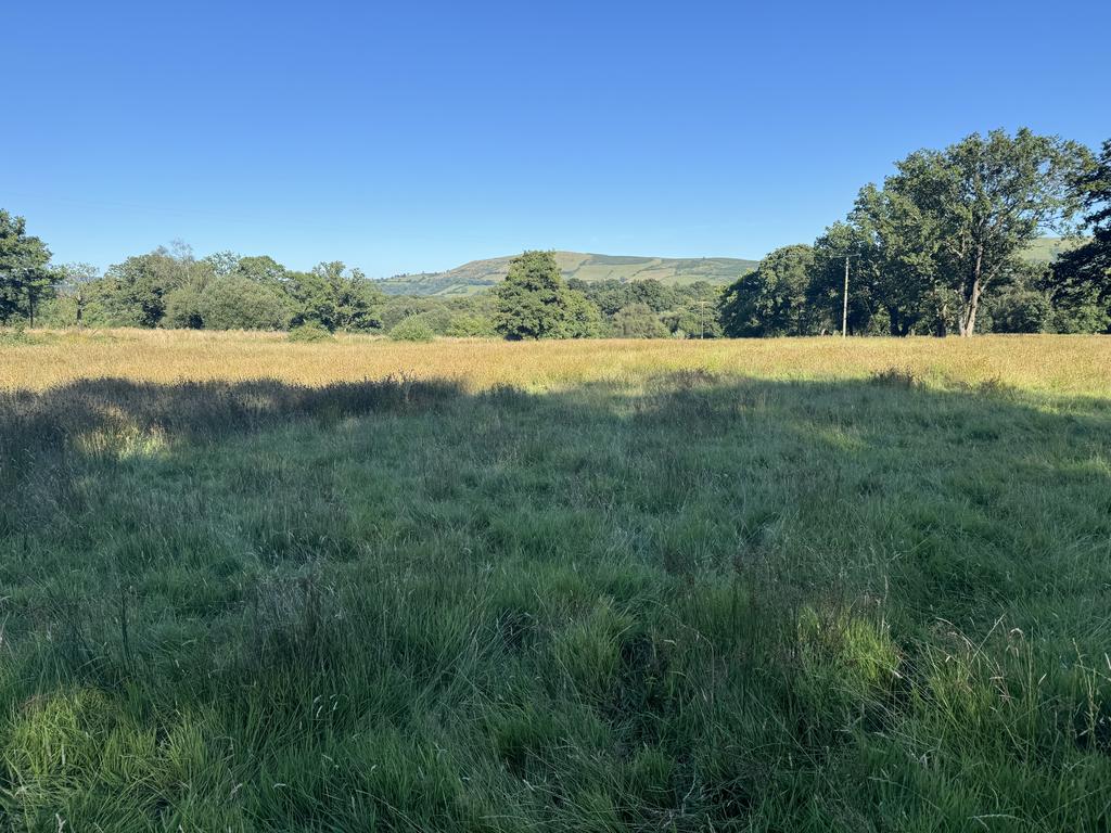 The Land