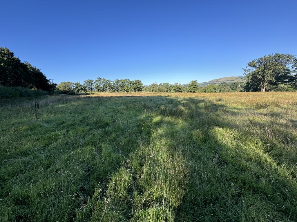 The Land