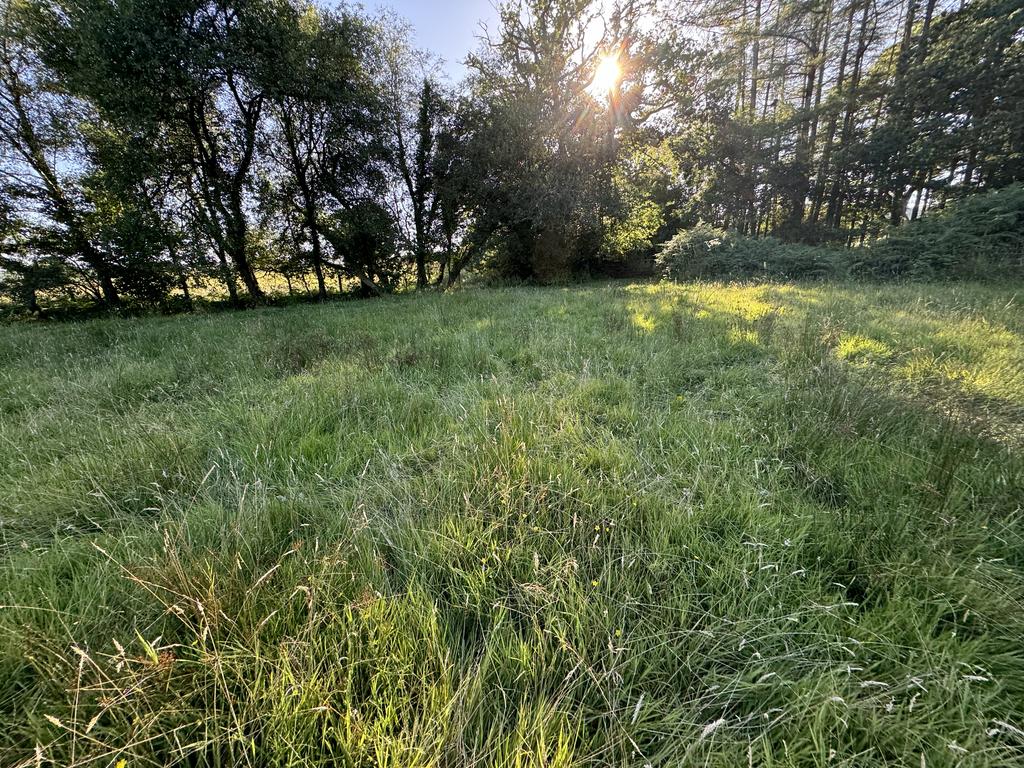 The Land