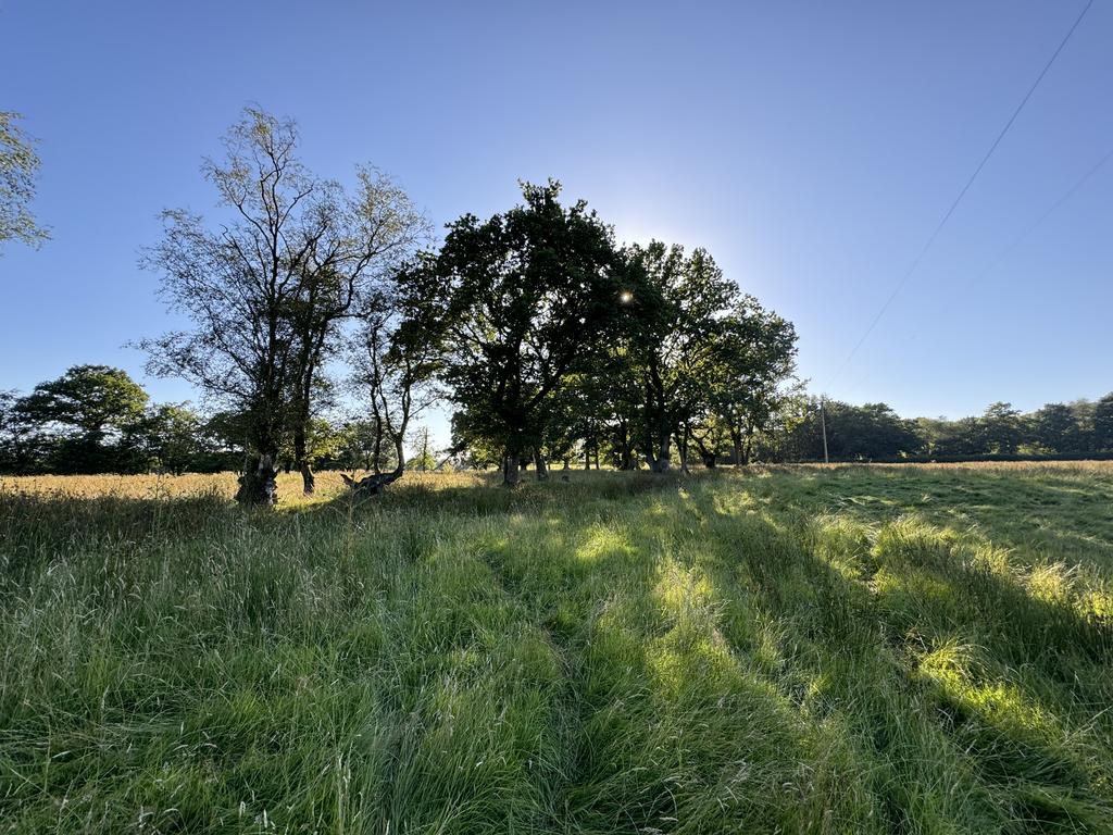 The Land