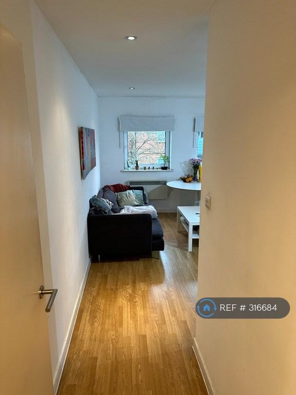 Kitchen/Living Room