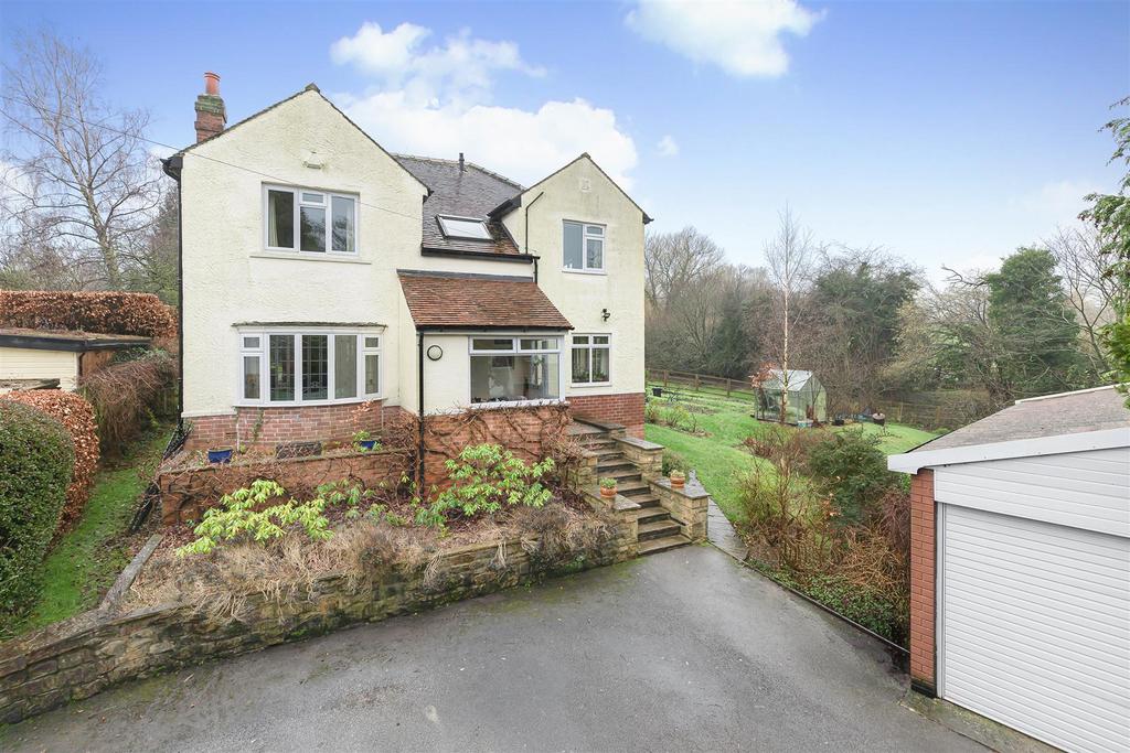 Halstead Drive
