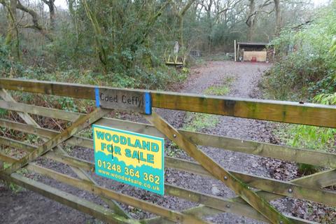 Woodland for sale, Coed Ceffyl, Trimsaran, Carmarthenshire SA17