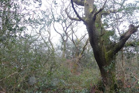 Woodland for sale, Coed Ceffyl, Trimsaran, Carmarthenshire SA17