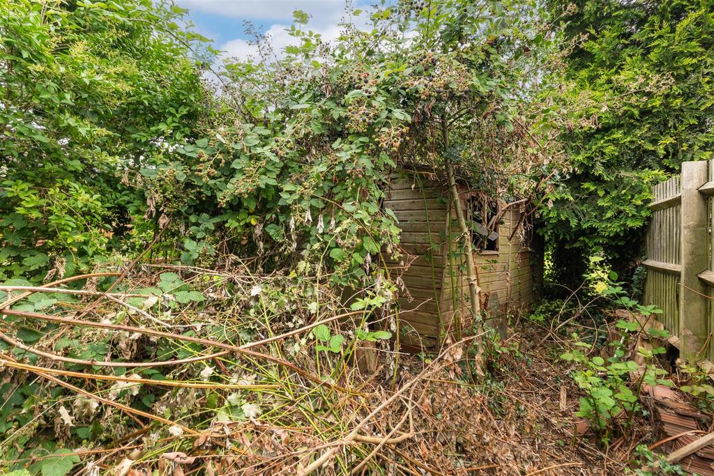 Garden-5.jpg