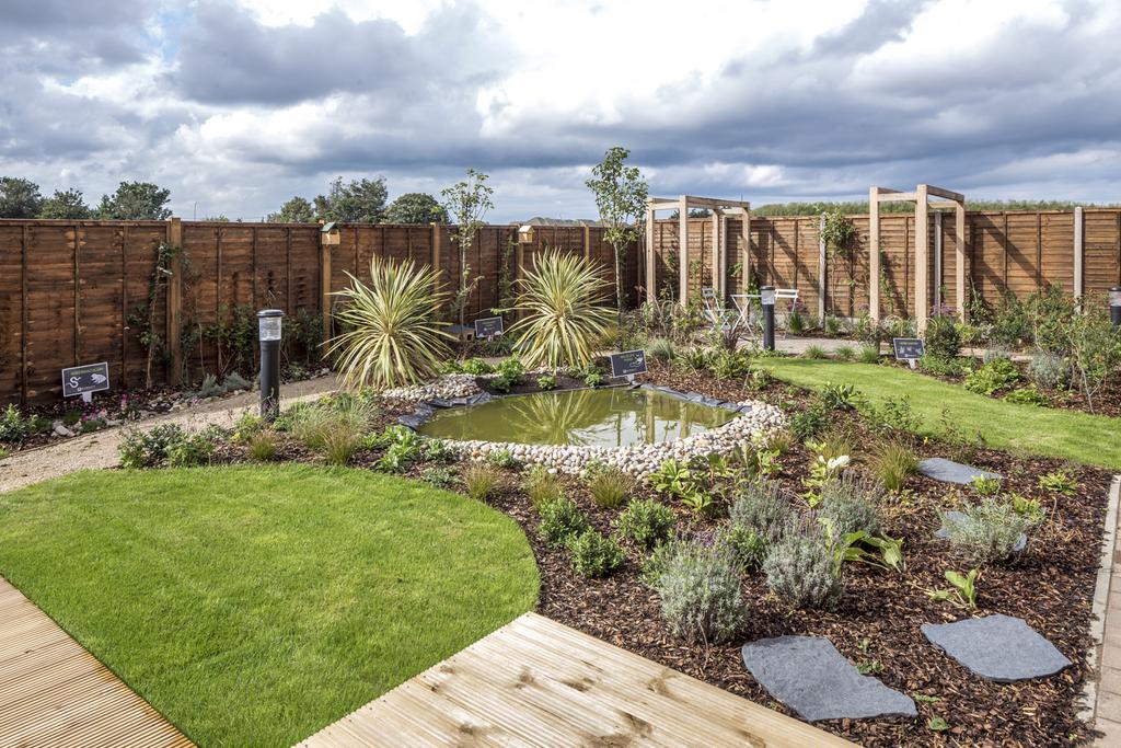Show Home garden