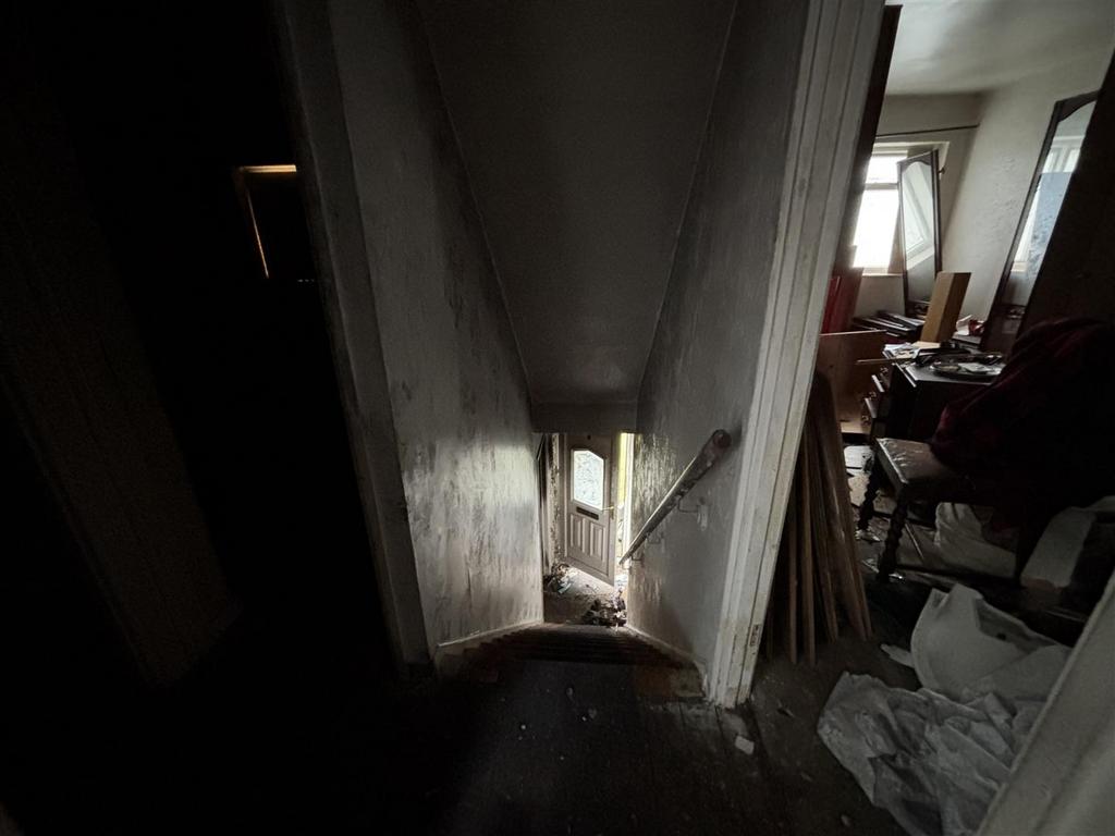IMG 3786.jpg