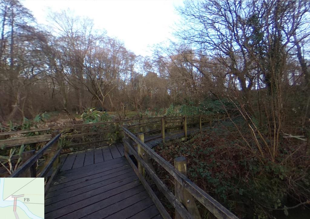 Footbridge View T202602131706.jpg