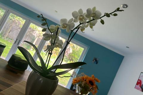 undefined, Bedhampton Hill, Havant PO9