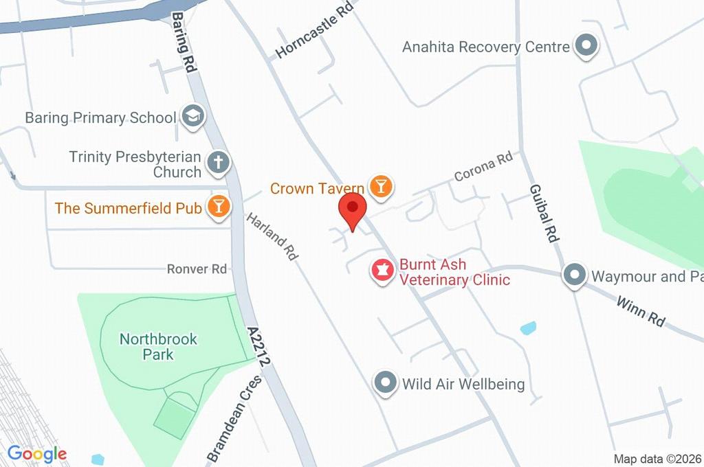 Google Maps Image