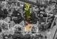 Additional image 26 of Friar Walk, Brighton, East Sussex, BN1