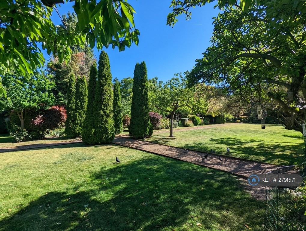Rear Lawns