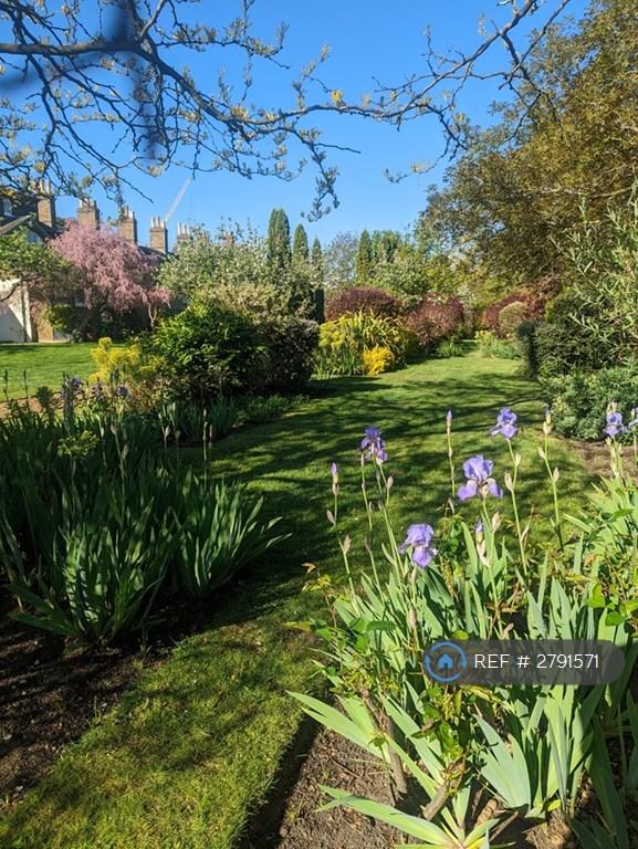 Flower Beds