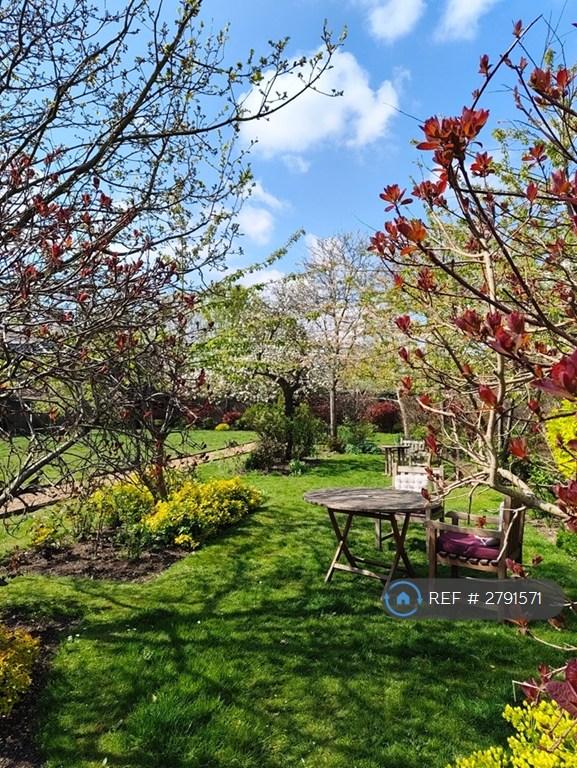 Garden Seating
