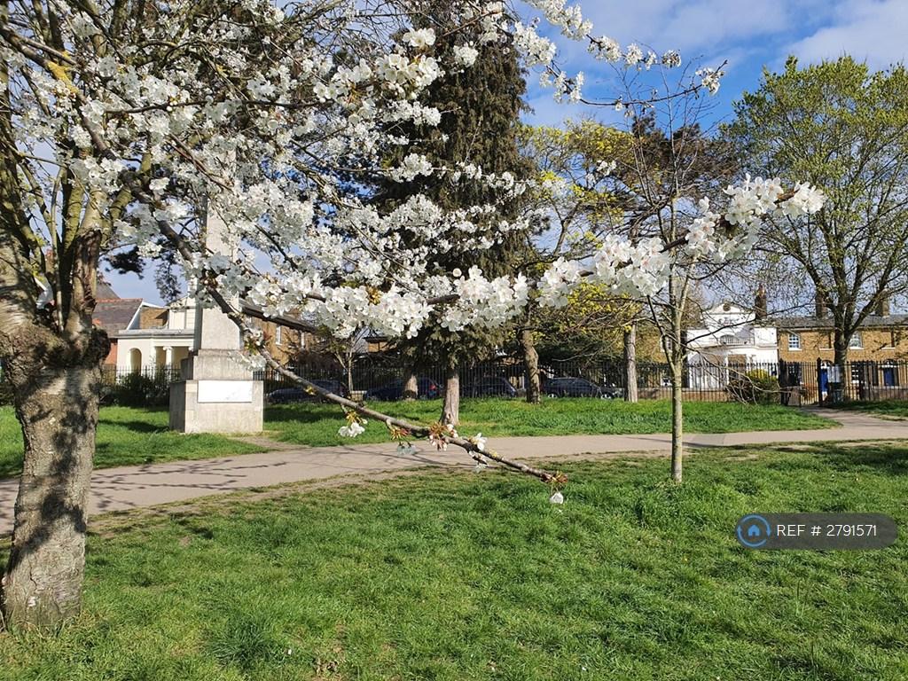 Viewed From Acton Park