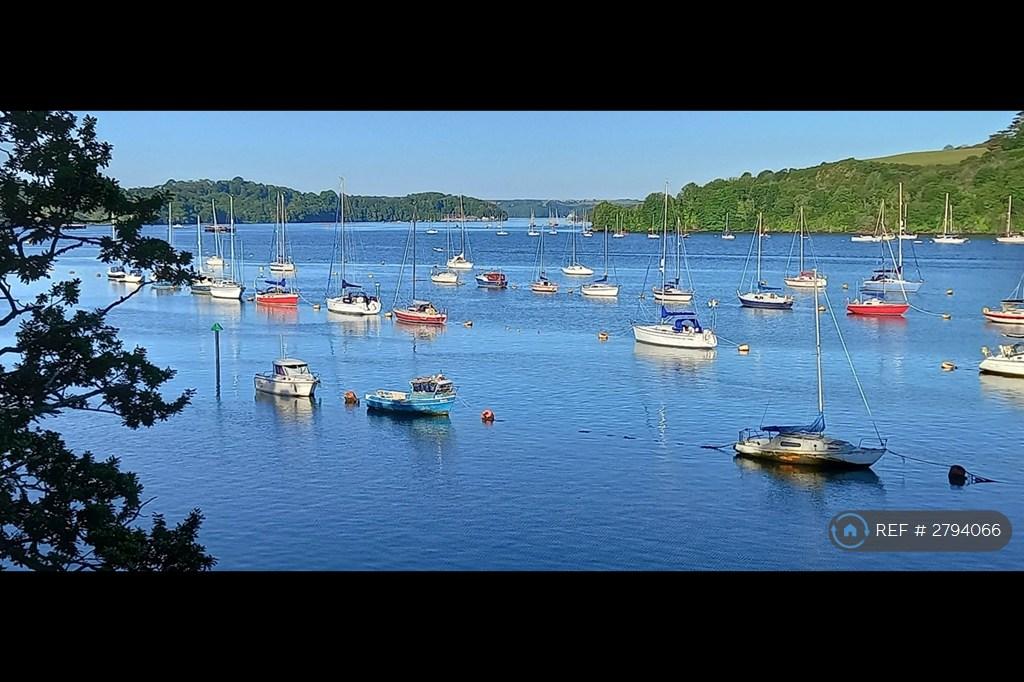 View From Patio Doors