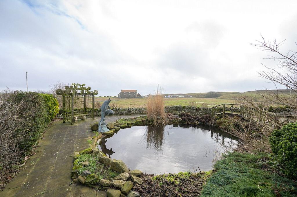 Pond