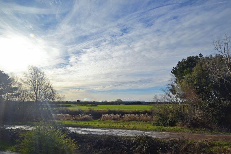 View from Bedrooms