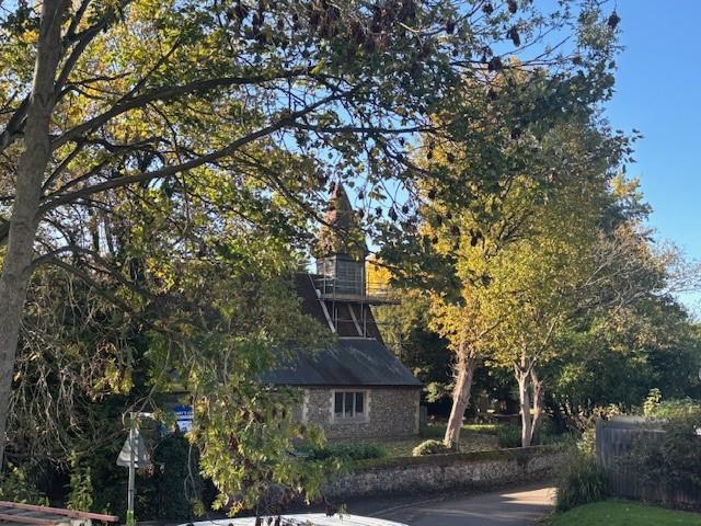 View from Plot 4